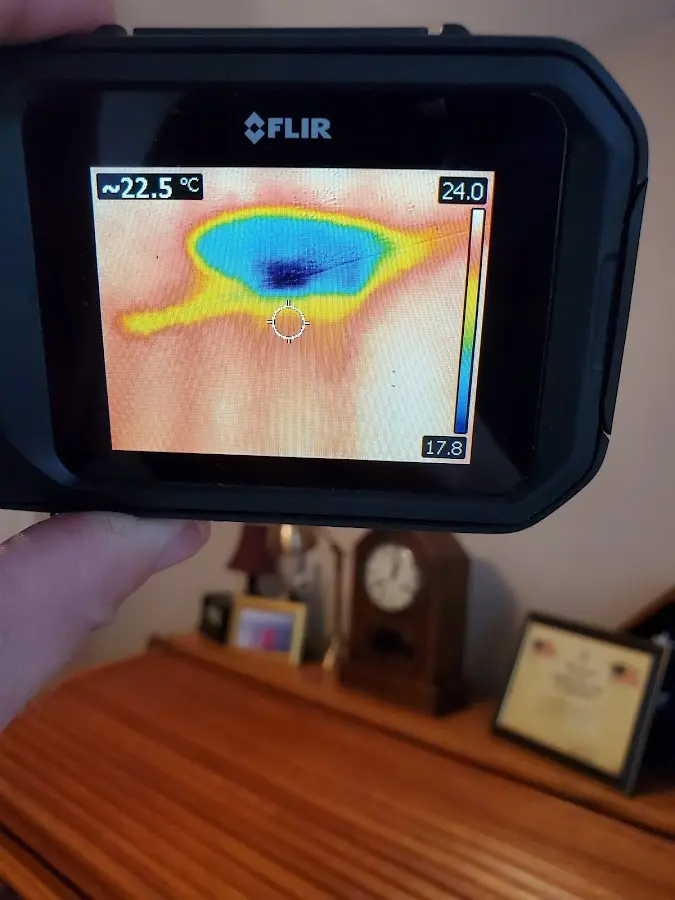 Thermal imaging inspection for water damage in Murphy