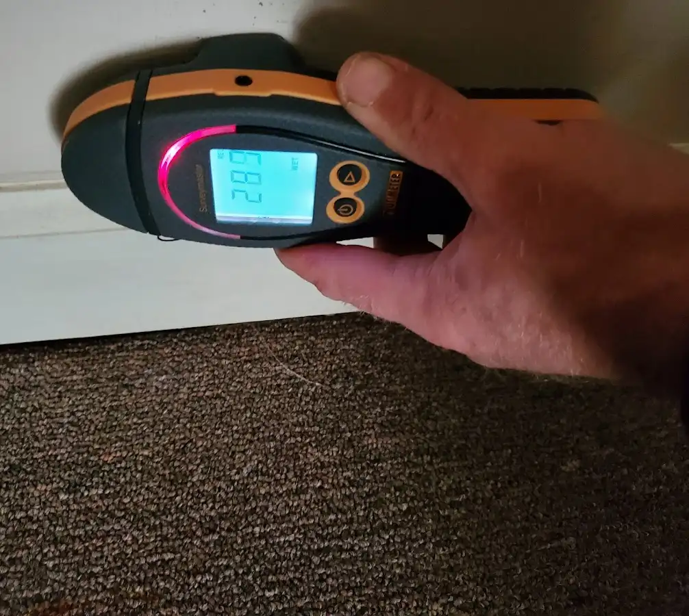 Moisture detection at baseboard during Sewage Cleanup & Sanitation in Murphy